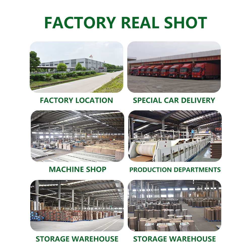 কাস্টম ঢেউতোলা মেইলার বক্স